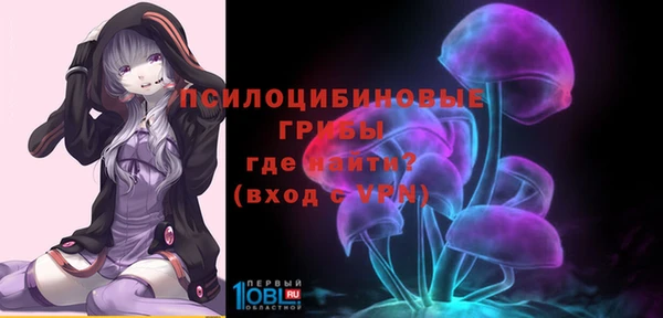 ешки Алексин