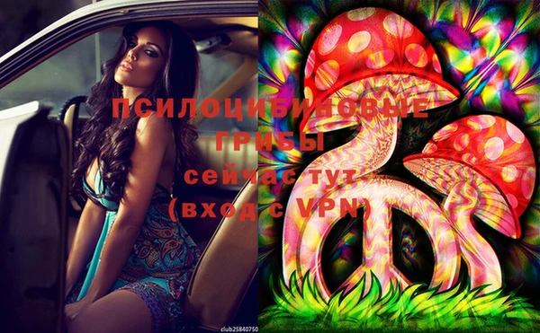 кокс Абдулино