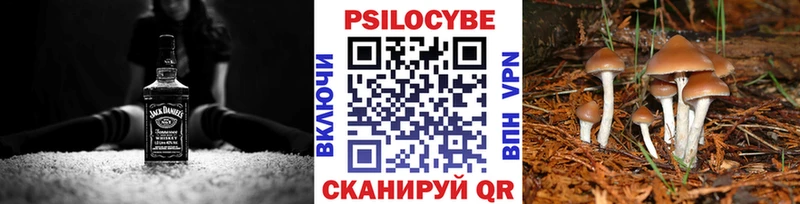 блэк спрут зеркало  дарнет шоп  Ялта  Галлюциногенные грибы мухоморы 